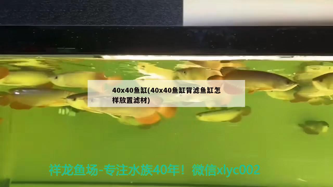 40x40魚缸(40x40魚缸背濾魚缸怎樣放置濾材) 潛水泵