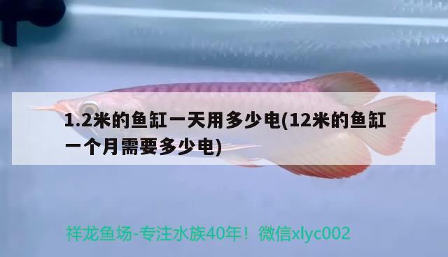 1.2米的魚缸一天用多少電(12米的魚缸一個月需要多少電)