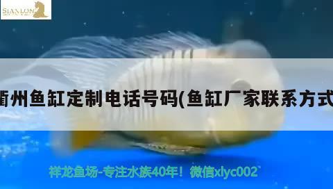 衢州魚缸定制電話號(hào)碼(魚缸廠家聯(lián)系方式) 白子黃化銀龍魚