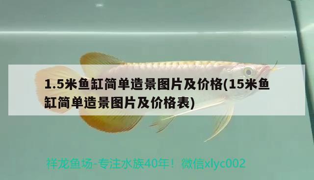 1.5米魚缸簡(jiǎn)單造景圖片及價(jià)格(15米魚缸簡(jiǎn)單造景圖片及價(jià)格表) 廣州祥龍國(guó)際水族貿(mào)易