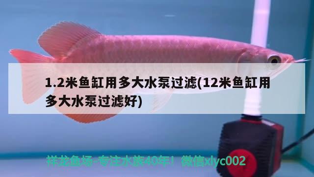 1.2米魚缸用多大水泵過濾(12米魚缸用多大水泵過濾好) 黑云魚