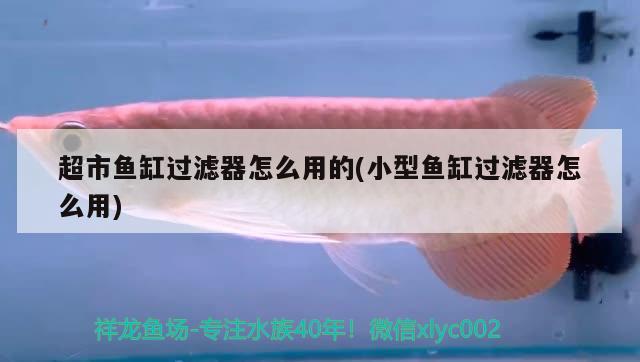 超市魚缸過濾器怎么用的(小型魚缸過濾器怎么用) 純血皇冠黑白魟魚