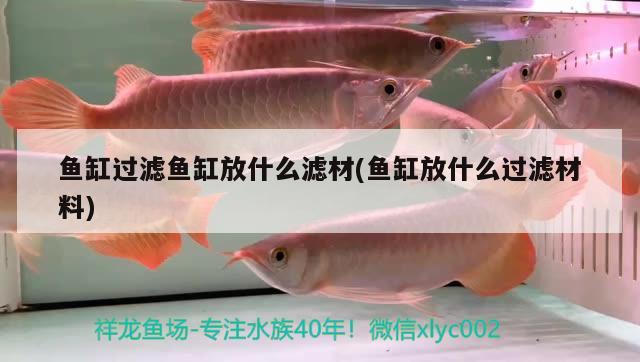 魚(yú)缸過(guò)濾魚(yú)缸放什么濾材(魚(yú)缸放什么過(guò)濾材料) 觀賞魚(yú)市場(chǎng)（混養(yǎng)魚(yú)）