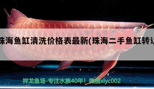 珠海魚(yú)缸清洗價(jià)格表最新(珠海二手魚(yú)缸轉(zhuǎn)讓) 黃金斑馬魚(yú)