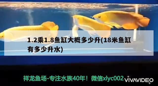 1.2乘1.8魚缸大概多少升(18米魚缸有多少升水)