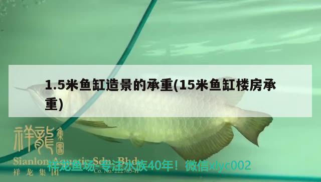 1.5米魚缸造景的承重(15米魚缸樓房承重) 魚缸/水族箱