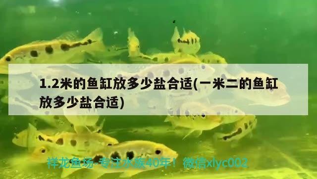 1.2米的魚缸放多少鹽合適(一米二的魚缸放多少鹽合適)