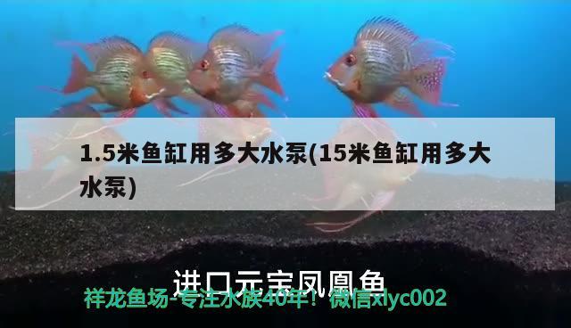 1.5米魚缸用多大水泵(15米魚缸用多大水泵)