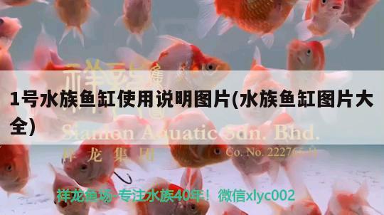 1號(hào)水族魚(yú)缸使用說(shuō)明圖片(水族魚(yú)缸圖片大全)