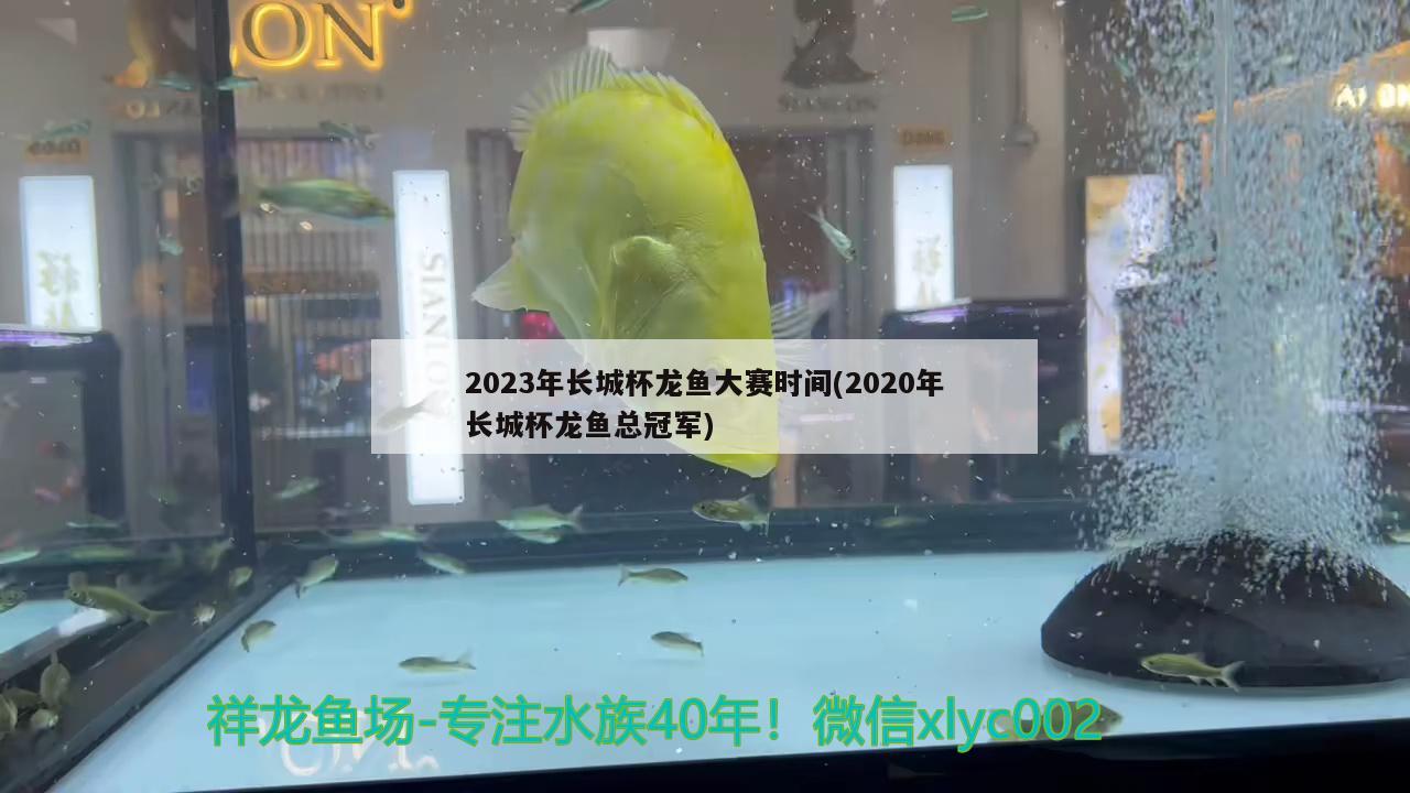 2023年長城杯龍魚大賽時間(2020年長城杯龍魚總冠軍)