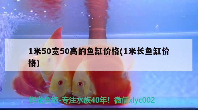 1米50寬50高的魚缸價(jià)格(1米長(zhǎng)魚缸價(jià)格)