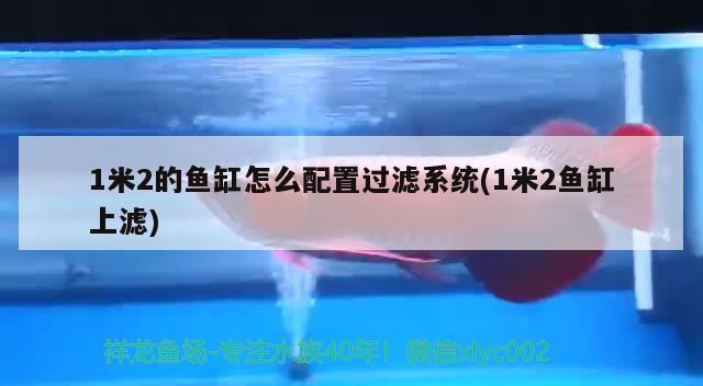 1米2的魚缸怎么配置過濾系統(tǒng)(1米2魚缸上濾)