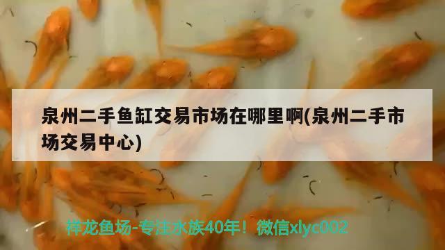 泉州二手魚缸交易市場在哪里啊(泉州二手市場交易中心) 撒旦鴨嘴魚