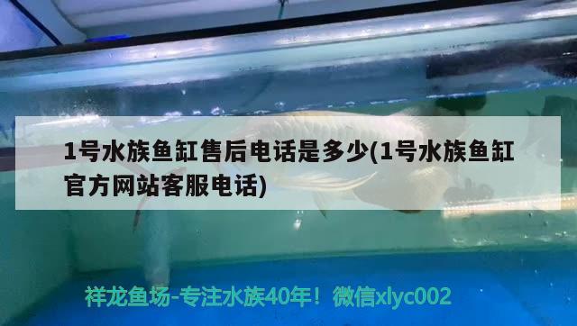 1號(hào)水族魚缸售后電話是多少(1號(hào)水族魚缸官方網(wǎng)站客服電話)