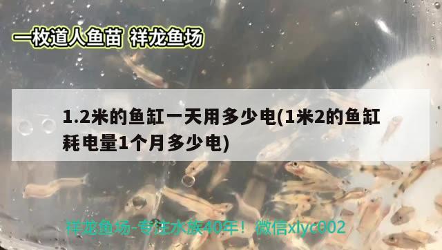 1.2米的魚缸一天用多少電(1米2的魚缸耗電量1個(gè)月多少電) 祥龍魚場其他產(chǎn)品