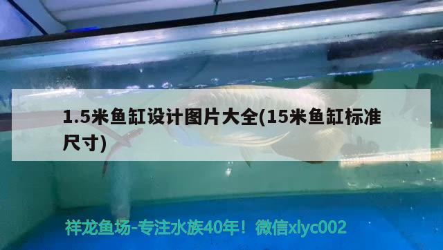 1.5米魚缸設計圖片大全(15米魚缸標準尺寸)