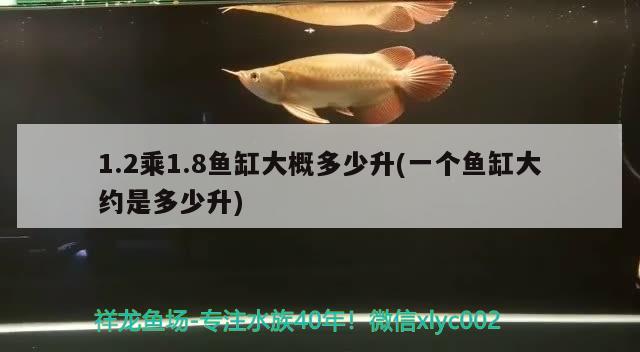 1.2乘1.8魚缸大概多少升(一個魚缸大約是多少升)