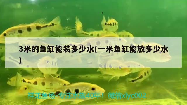 3米的魚缸能裝多少水(一米魚缸能放多少水) 硝化細(xì)菌