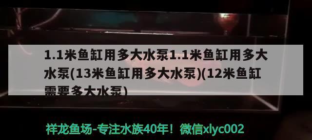 1.1米魚缸用多大水泵1.1米魚缸用多大水泵(13米魚缸用多大水泵)(12米魚缸需要多大水泵) 赤焰中國虎魚