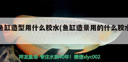 魚缸造型用什么膠水(魚缸造景用的什么膠水) 藍帆三間魚