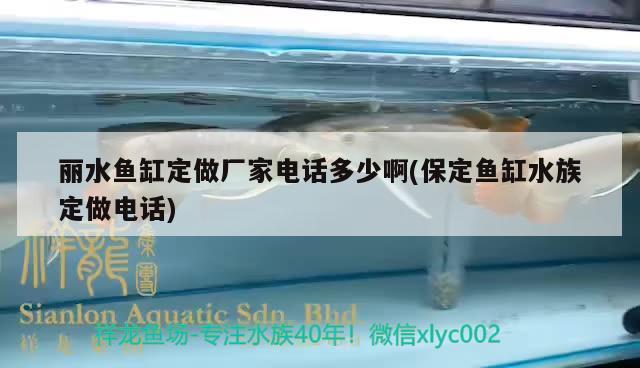 麗水魚(yú)缸定做廠家電話多少啊(保定魚(yú)缸水族定做電話)