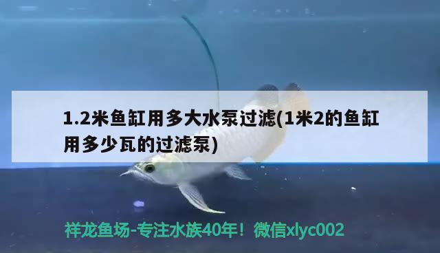 1.2米魚缸用多大水泵過濾(1米2的魚缸用多少瓦的過濾泵) 大白鯊魚