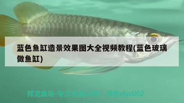 藍(lán)色魚缸造景效果圖大全視頻教程(藍(lán)色玻璃做魚缸)