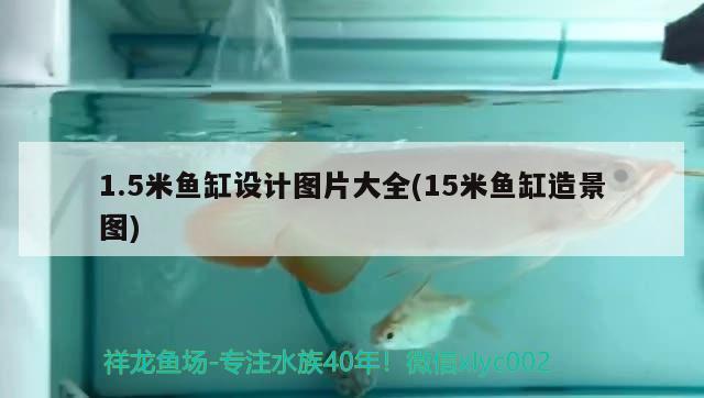 1.5米魚缸設計圖片大全(15米魚缸造景圖)