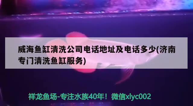 威海魚缸清洗公司電話地址及電話多少(濟(jì)南專門清洗魚缸服務(wù)) 一眉道人魚