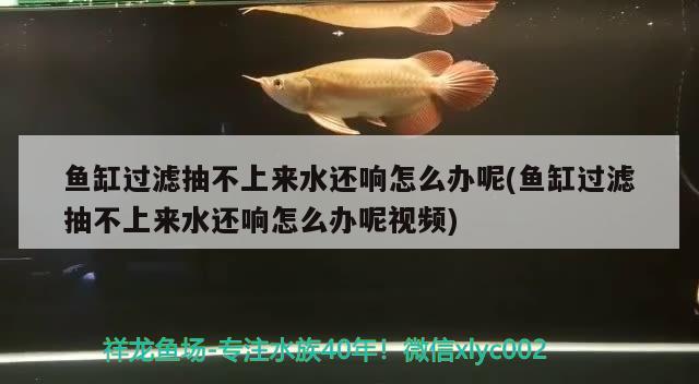 魚缸過濾抽不上來水還響怎么辦呢(魚缸過濾抽不上來水還響怎么辦呢視頻)