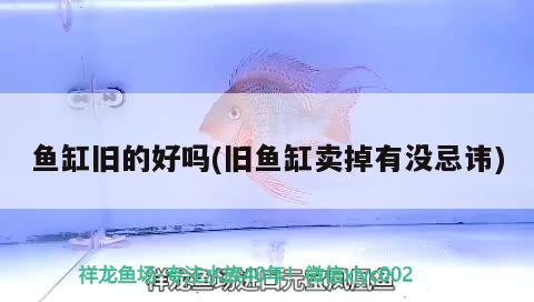 魚缸舊的好嗎(舊魚缸賣掉有沒忌諱) 泰國斗魚