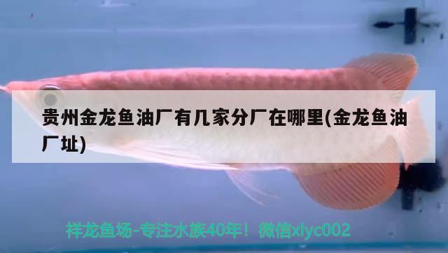 貴州金龍魚油廠有幾家分廠在哪里(金龍魚油廠址)