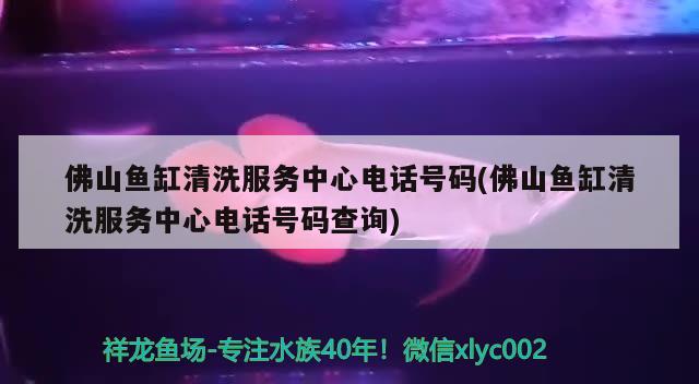 佛山魚(yú)缸清洗服務(wù)中心電話(huà)號(hào)碼(佛山魚(yú)缸清洗服務(wù)中心電話(huà)號(hào)碼查詢(xún))