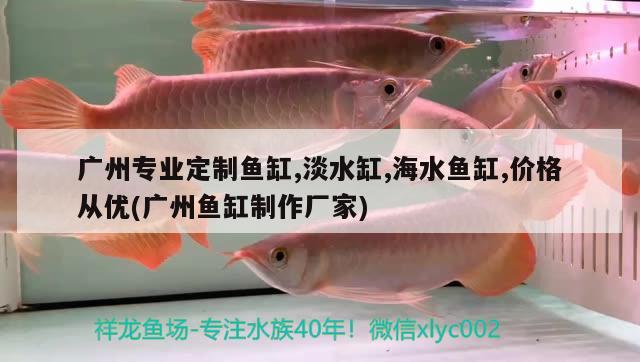 廣州專業(yè)定制魚缸,淡水缸,海水魚缸,價格從優(yōu)(廣州魚缸制作廠家)