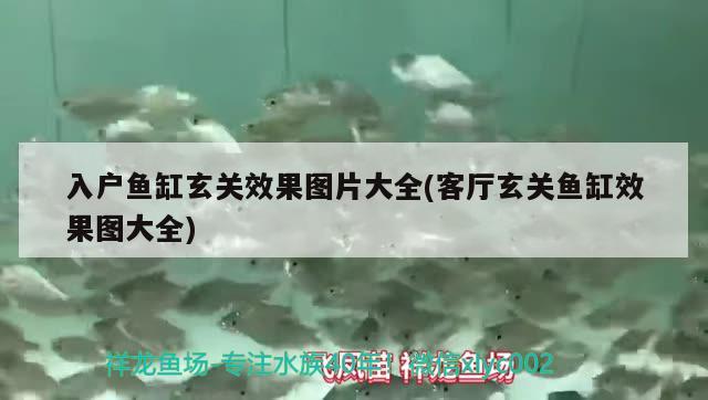 入戶魚缸玄關效果圖片大全(客廳玄關魚缸效果圖大全) 廣州觀賞魚批發(fā)市場