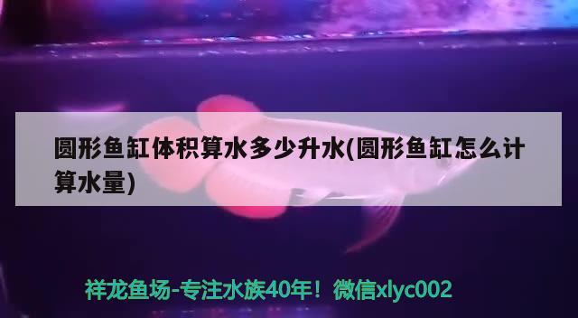 圓形魚(yú)缸體積算水多少升水(圓形魚(yú)缸怎么計(jì)算水量) 蝴蝶鯉魚(yú)苗