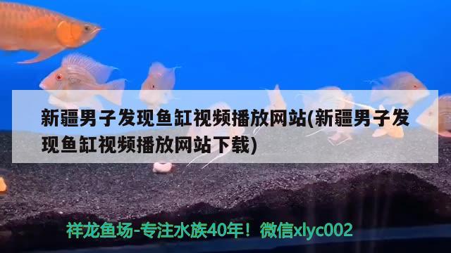 新疆男子發(fā)現(xiàn)魚(yú)缸視頻播放網(wǎng)站(新疆男子發(fā)現(xiàn)魚(yú)缸視頻播放網(wǎng)站下載) 熊貓異形魚(yú)L46