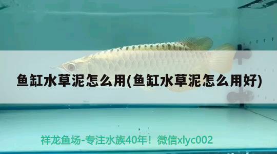 魚(yú)缸水草泥怎么用(魚(yú)缸水草泥怎么用好) 水草