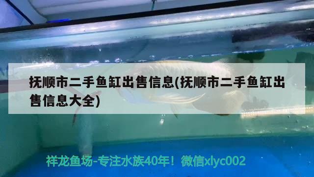 撫順市二手魚缸出售信息(撫順市二手魚缸出售信息大全)