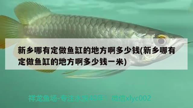 新鄉(xiāng)哪有定做魚(yú)缸的地方啊多少錢(qián)(新鄉(xiāng)哪有定做魚(yú)缸的地方啊多少錢(qián)一米) 赤焰中國(guó)虎魚(yú)