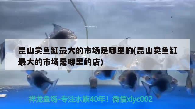 昆山賣(mài)魚(yú)缸最大的市場(chǎng)是哪里的(昆山賣(mài)魚(yú)缸最大的市場(chǎng)是哪里的店) 龍魚(yú)芯片掃碼器