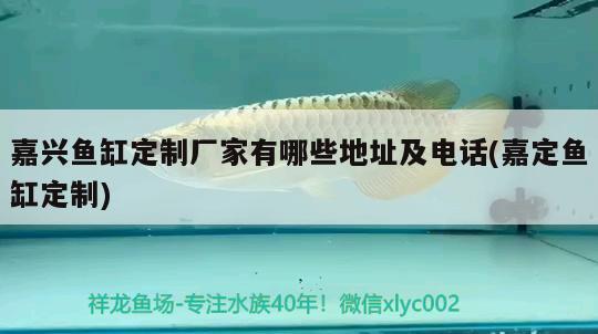 嘉興魚缸定制廠家有哪些地址及電話(嘉定魚缸定制)