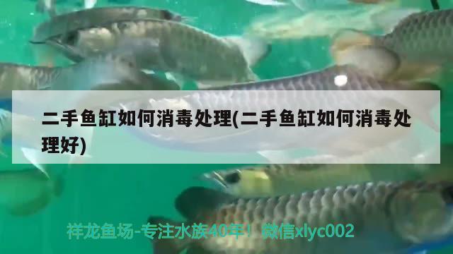 二手魚缸如何消毒處理(二手魚缸如何消毒處理好)