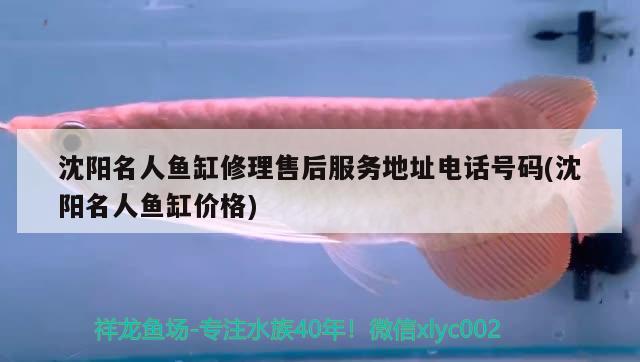 沈陽名人魚缸修理售后服務(wù)地址電話號(hào)碼(沈陽名人魚缸價(jià)格)