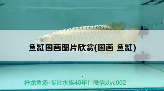 魚缸國畫圖片欣賞(國畫魚缸) 肥料