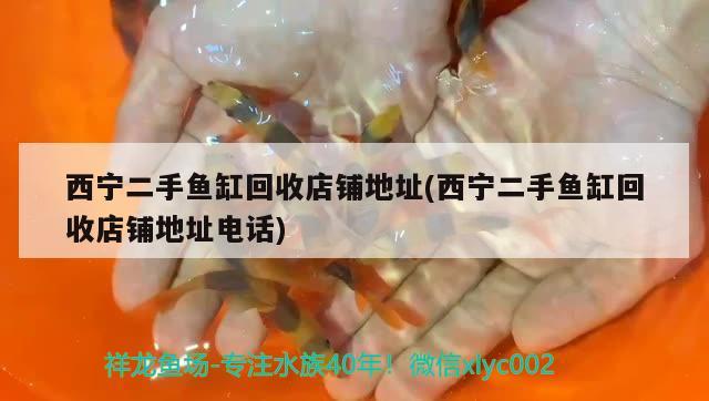 西寧二手魚缸回收店鋪地址(西寧二手魚缸回收店鋪地址電話) 廣州龍魚批發(fā)市場