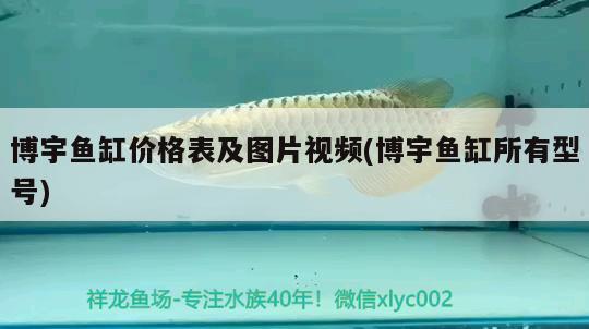 博宇魚缸價(jià)格表及圖片視頻(博宇魚缸所有型號(hào))