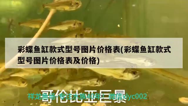 彩蝶魚缸款式型號(hào)圖片價(jià)格表(彩蝶魚缸款式型號(hào)圖片價(jià)格表及價(jià)格)