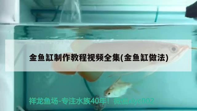 金魚缸制作教程視頻全集(金魚缸做法) 廣州祥龍國際水族貿(mào)易