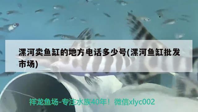 漯河賣魚缸的地方電話多少號(hào)(漯河魚缸批發(fā)市場) 殺菌消毒設(shè)備